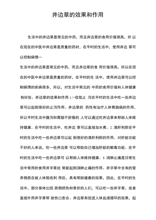 井边草的效果和作用