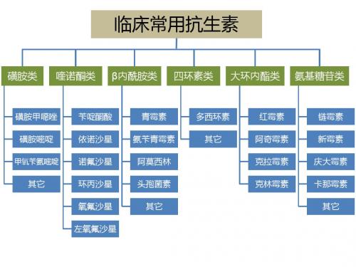 抗生素分类及用药建议
