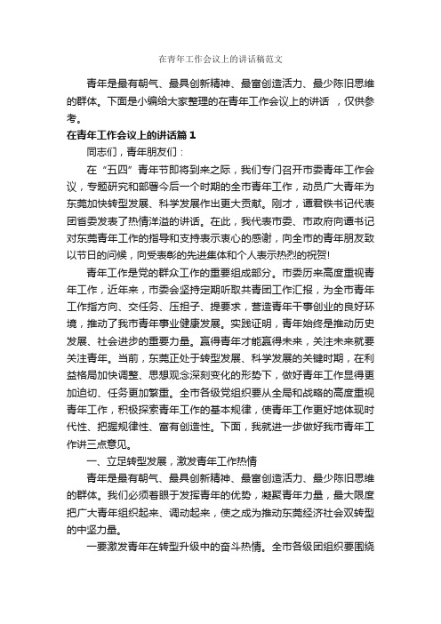 在青年工作会议上的讲话稿范文_发言稿_