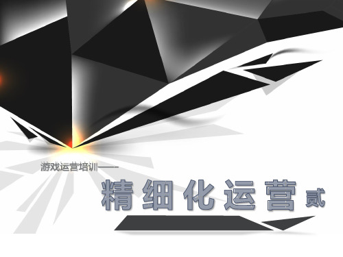 游戏运营培训-精细化运营2