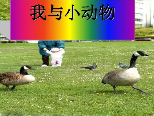 (人教新课标)二年级品德与生活下册《我与小动物》优质课件1