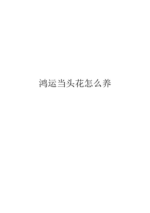 鸿运当头花怎么养