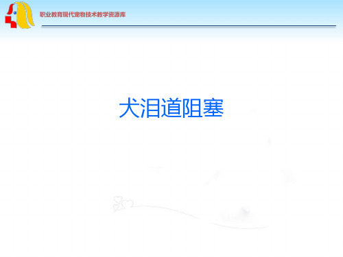 犬泪道阻塞的诊治技术.ppt