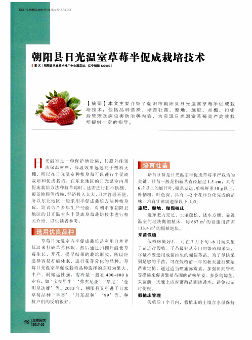 朝阳县日光温室草莓半促成栽培技术