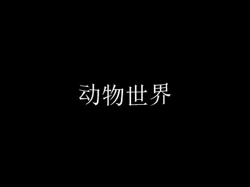 动物世界-专业文档!