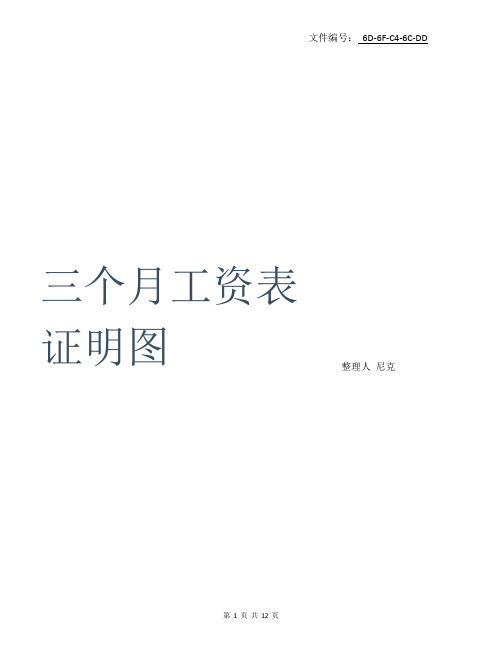 总结三个月工资表证明图