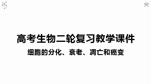 高考生物二轮复习教学课件：细胞的分化、衰老、凋亡和癌变