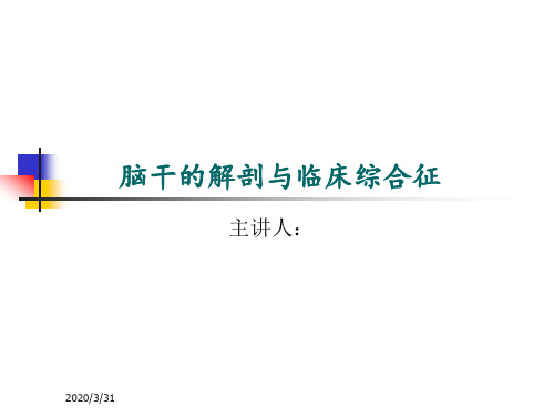 脑干的解剖及临床综合征PPT