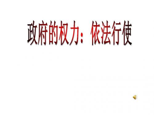 高一政治依法行使政府的权力课件