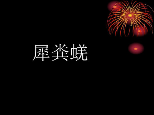语文：第15课《犀粪蜣》课件(长春版七年级上)