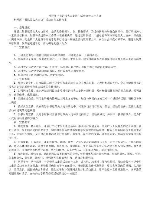 2020年村开展“书记带头大走访”活动宣传工作方案