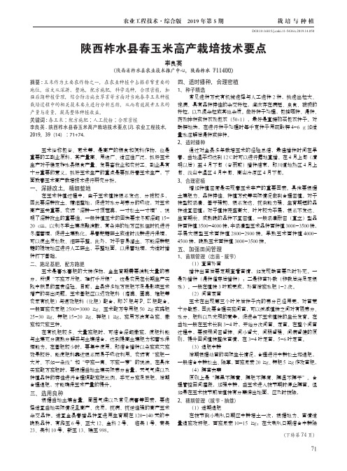 陕西柞水县春玉米高产栽培技术要点