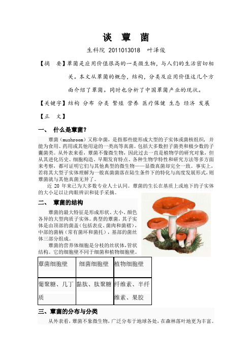 谈  蕈  菌