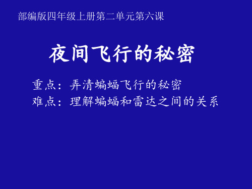 四年级语文上册夜间飞行的秘密ppt课件-部编版