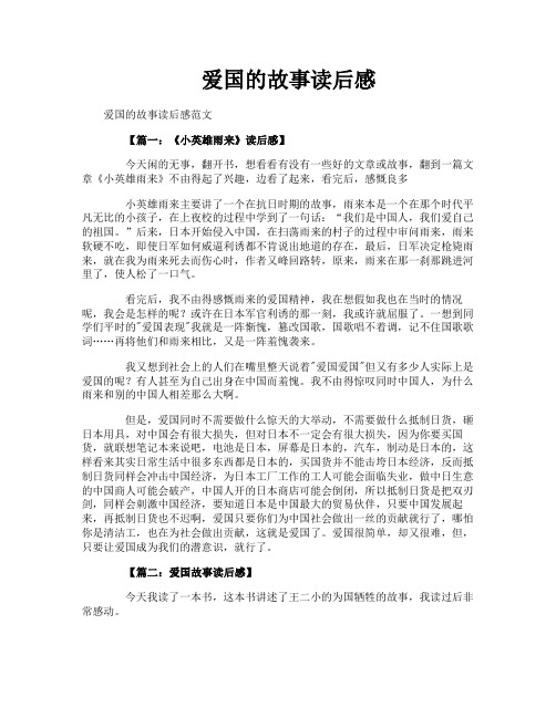 爱国的故事读后感