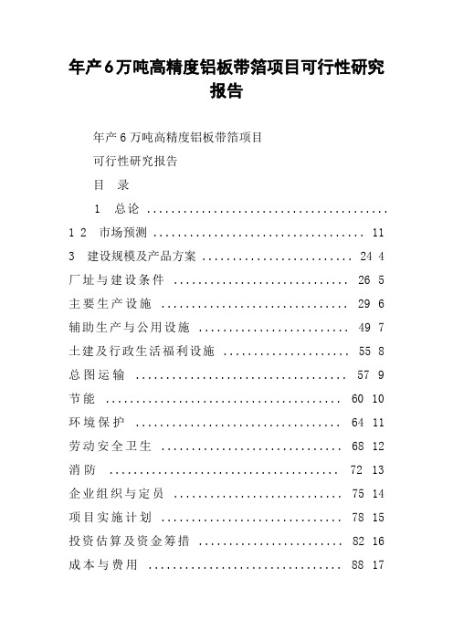 年产6万吨高精度铝板带箔项目可行性研究报告
