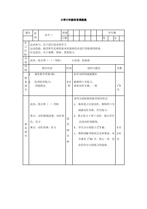 体育教案：武术：组合拳(一)(考核)  