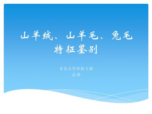 山羊绒山羊毛兔毛鉴别