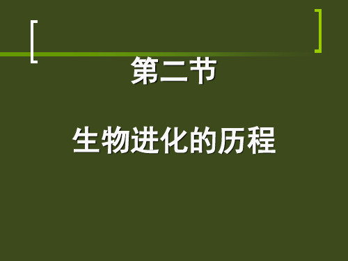 二节生物进化的历程