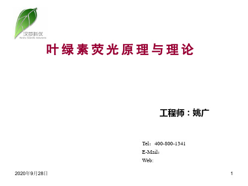 2014.01.01--叶绿素荧光的原理及理论解析PPT课件