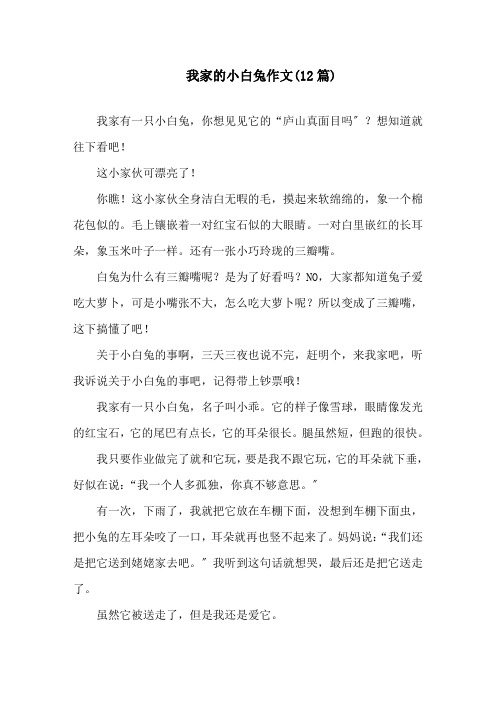 我家的小白兔作文(12篇)精选