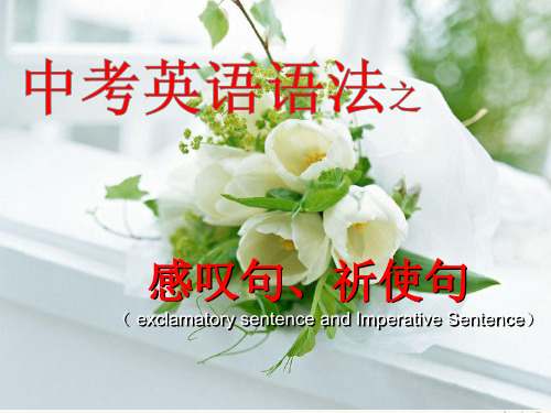 感叹句祈使句复习课件