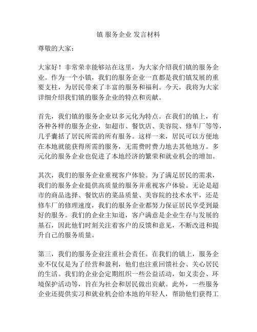 镇 服务企业 发言材料