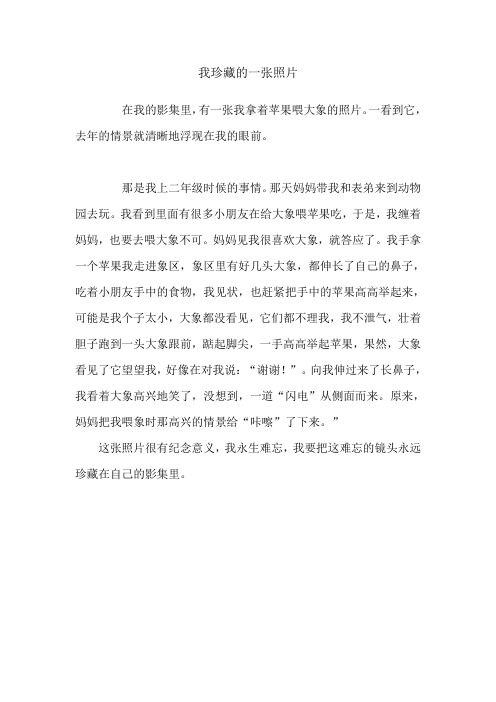 我珍藏的一张照片