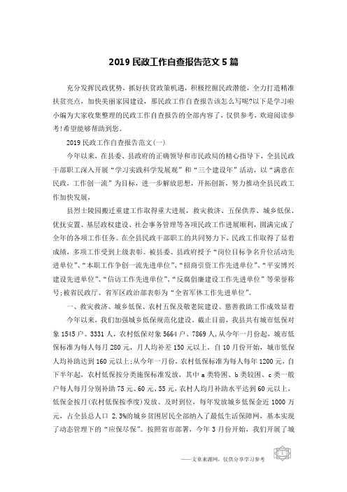 2019民政工作自查报告范文5篇