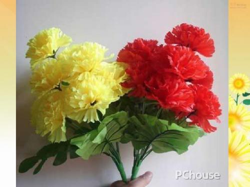 采一束鲜花----课件