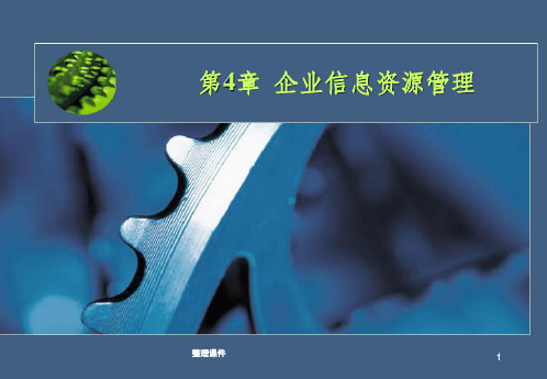 企业信息资源管理