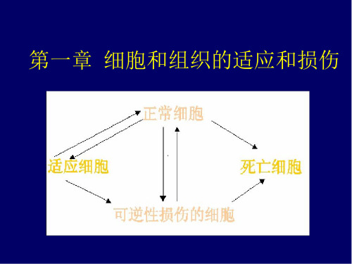 病理学_来茂德_细胞和组织的损伤