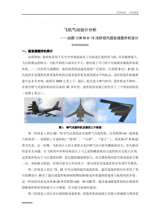 飞机气动设计分析报告
