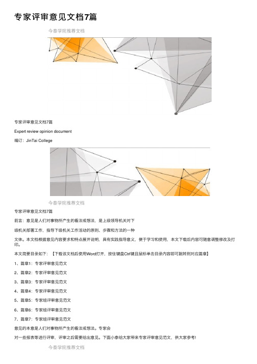 专家评审意见文档7篇