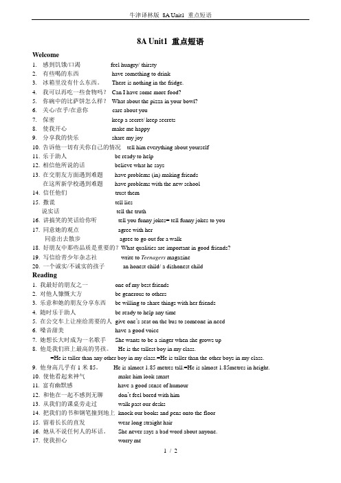 牛津译林版 8A Unit1 重点短语