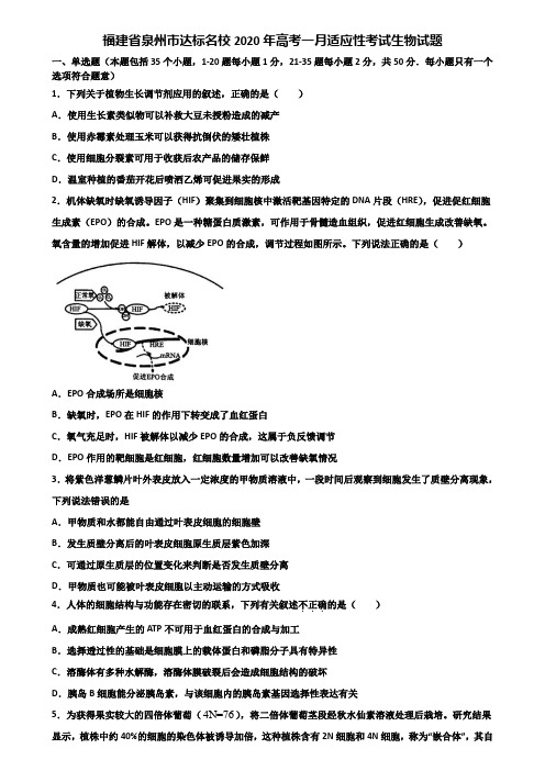 福建省泉州市达标名校2020年高考一月适应性考试生物试题含解析