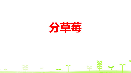《分草莓》除法PPT-北师大版二年级数学下册