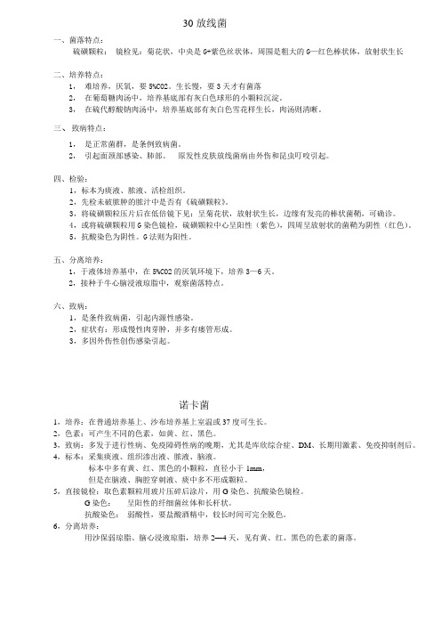 30放线菌