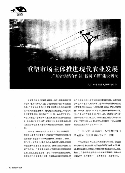 重塑市场主体推进现代农业发展——广东省供销合作社“新网工程”建设调查