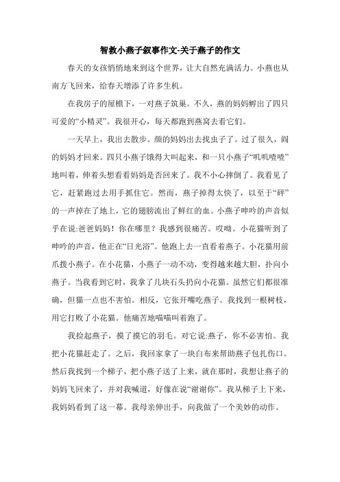 智救小燕子叙事作文-关于燕子的作文.doc