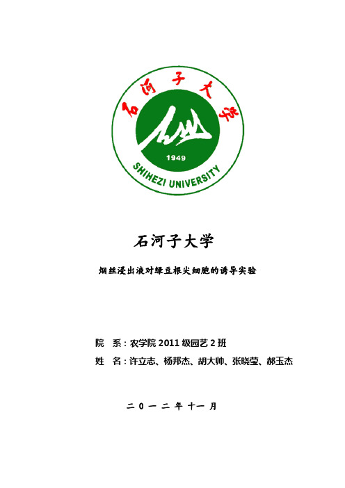 遗传学实验(烟丝对绿豆染色体微核的影响)