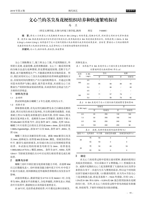文心兰的茎尖及花梗组织培养和快速繁殖探讨