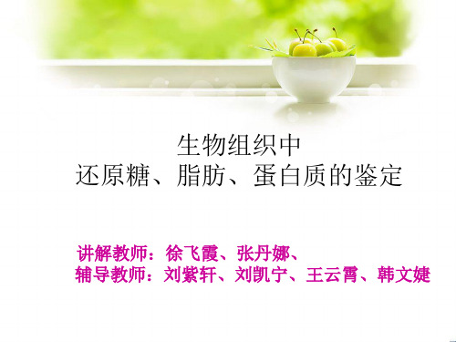 生物组织中还原糖、脂肪、蛋白质的鉴定