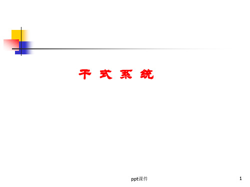干式系统  ppt课件