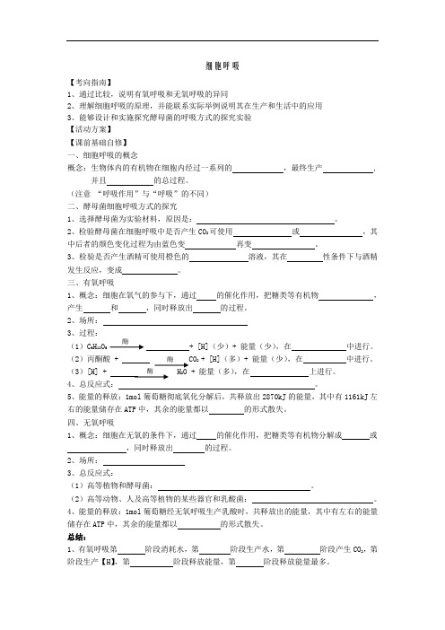 高二生物-呼吸作用导学案Word版