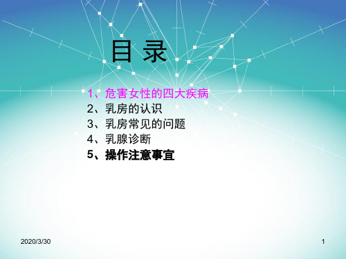 胸部专业知识课件