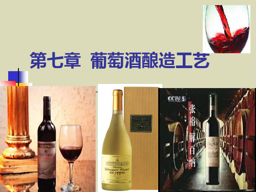 【推荐】葡萄酒酿造工艺培训课件