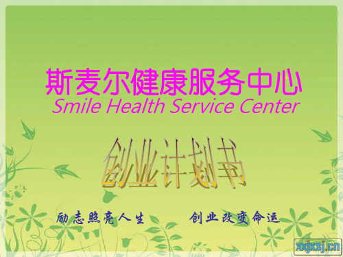 “斯麦尔健康服务中心”PPT