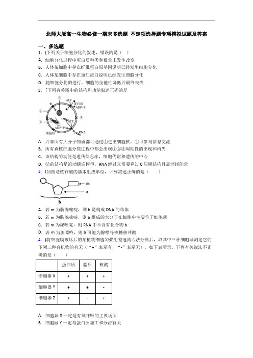 北师大版高一生物必修一期末多选题 不定项选择题专项模拟试题及答案