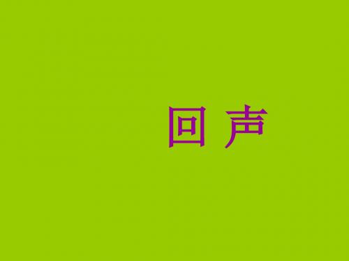 回声教学PPT课件人教版语文二年级上册第31课